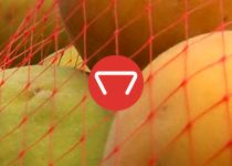 Aplicaciones HR22: Agropecuario › Cierre de bolsas
