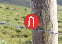 Aplica&ccedil;&otilde;es PREGO-U: Agro-pecu&aacute;ria › Postes madeira