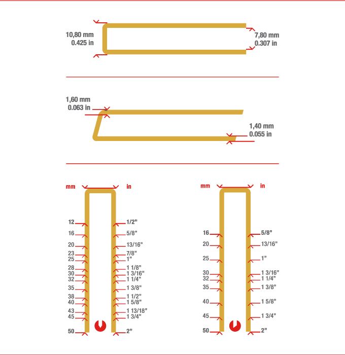 Measurements staple G5562