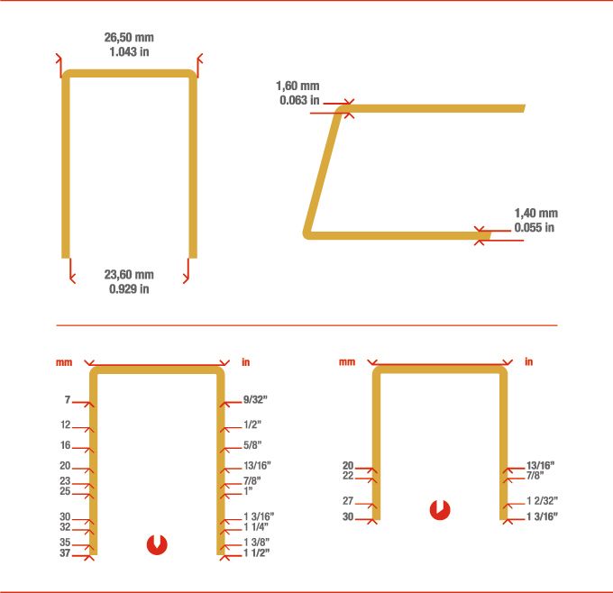 Measurements staple W5562
